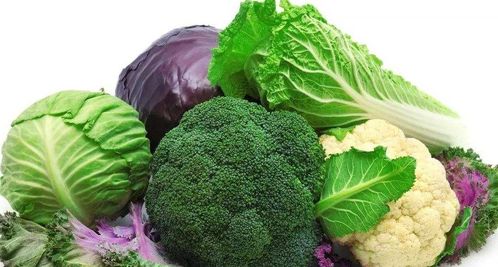 十大健康食品與垃圾食品 科學飲食的選擇指南