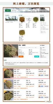 藥通網廣告業務全面介紹